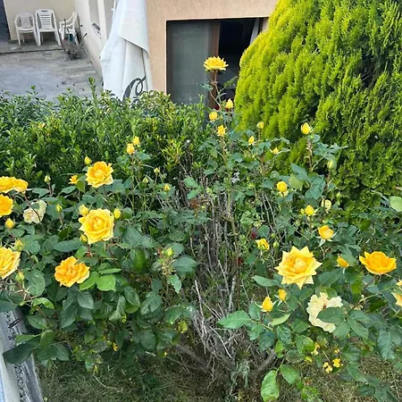 בית נופש Protopapas House *