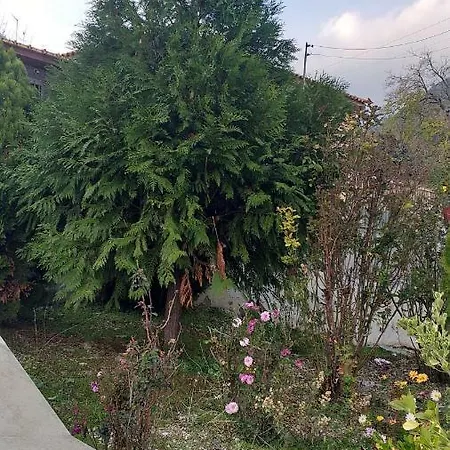 度假居 Protopapas House